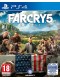 Far Cry 5 