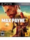 Max Payne 3 