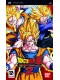 Dragon Ball Z : Shin Budokai 2