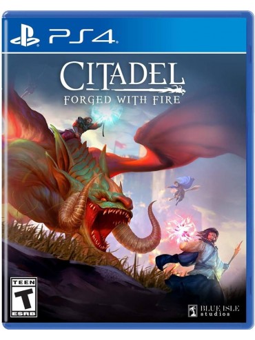 Citadel: Forged with Fire 