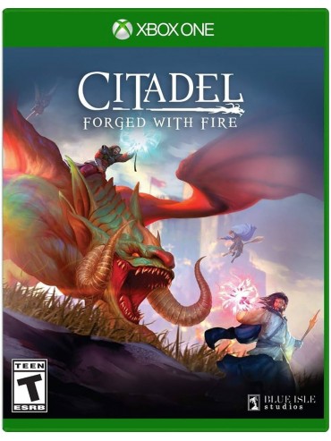 Citadel: Forged with Fire 