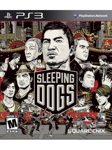 Sleeping Dogs 