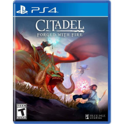 Citadel: Forged with Fire (używana) PS4
